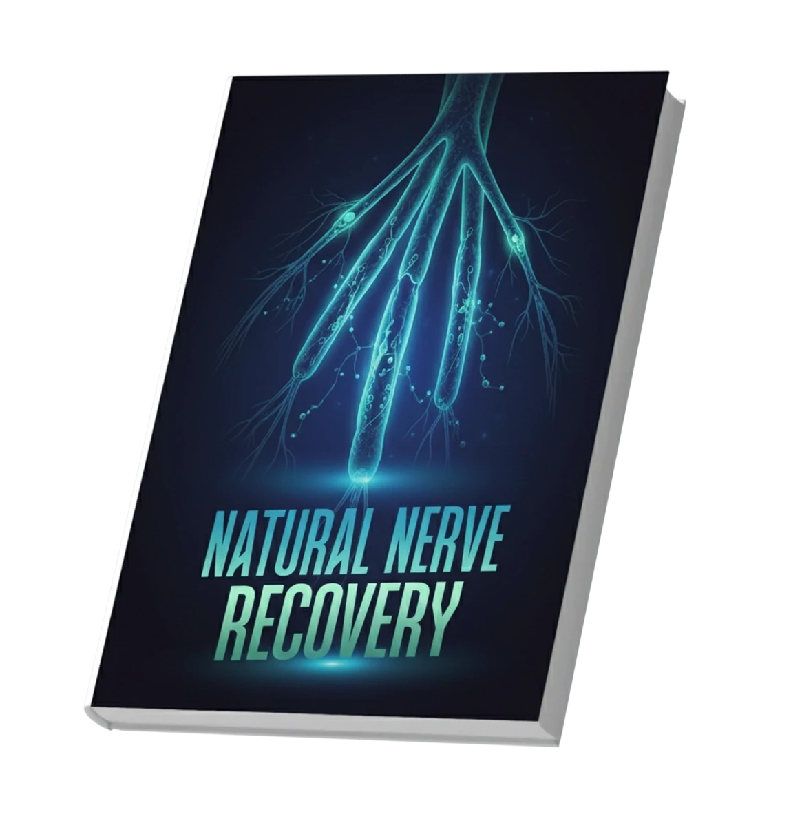 Nervecept bonus 2